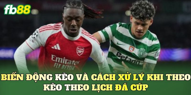 Biến động kèo và cách xử lý khi theo kèo theo lịch đá cúp