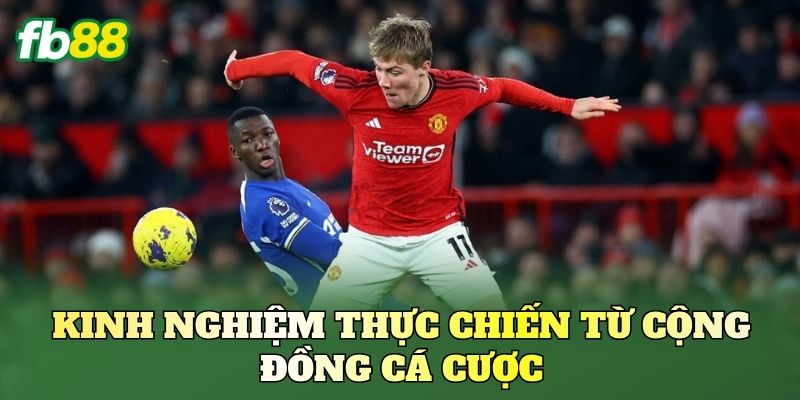 Kinh nghiệm thực chiến từ cộng đồng cá cược
