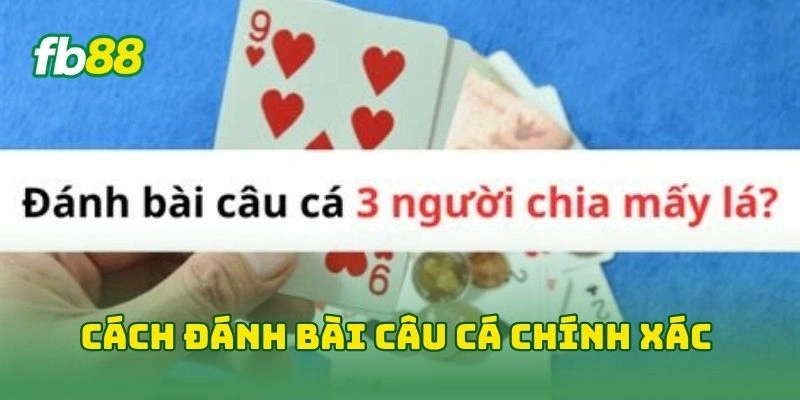 Bài Câu Cá FB88 2026 - Bí Kíp Chơi Hay Thắng Lớn Cực Đậm! 2 Cách đánh bài câu cá chính xác