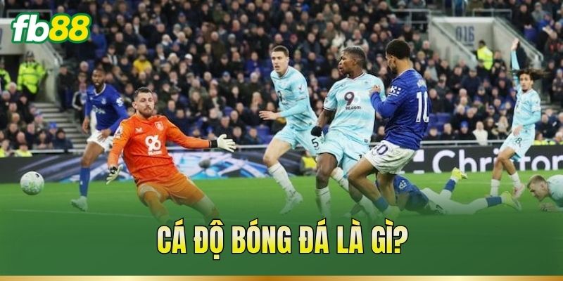 Cá Độ Bóng Đá – Cách Đọc Kèo Và Phân Tích Trận Đấu 1 Cá độ bóng đá là gì?