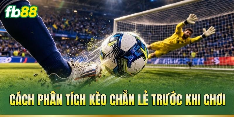 Kèo Chẵn Lẻ – Cách Xác Định Mốc Và Đọc Tỷ Lệ Trận Đấu 3 Cách phân tích kèo chẵn lẻ trước khi chơi