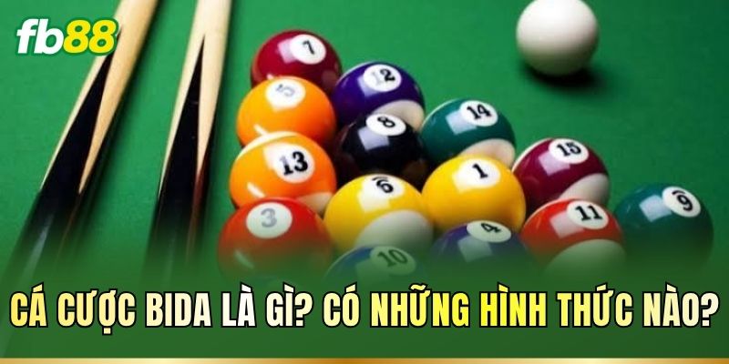 Cá Cược Bida: Luật Chơi, Các Loại Kèo Và Cách Đọc Tỷ Lệ 1 Cá cược Bida là gì? Có những hình thức nào?