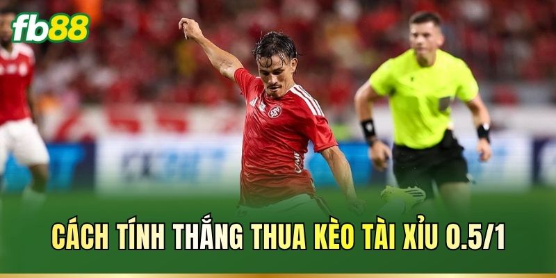 Tài Xỉu 0.5/1: Cách Đọc Kèo Và Tính Thắng Thua Chuẩn FB88 2 Cách tính thắng thua kèo Tài Xỉu 0.5/1