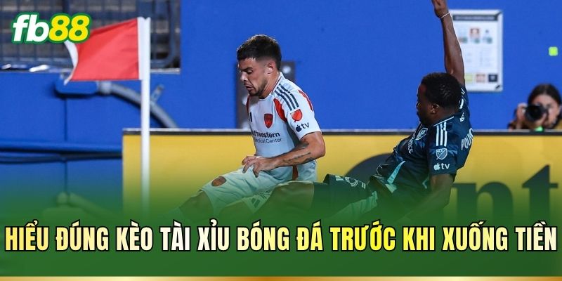 Cách Đánh Tài Xỉu Bóng Đá Luôn Thắng: Bí Quyết Chơi 1 Hiểu đúng kèo Tài Xỉu bóng đá trước khi xuống tiền