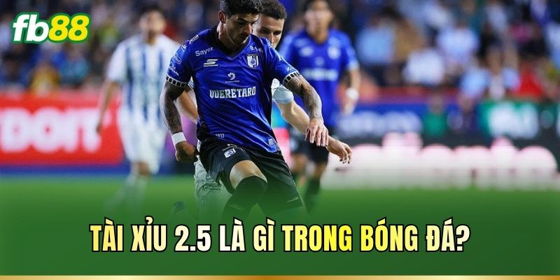 Tài Xỉu 2.5 Là Gì? Cách Đọc Kèo Và Tính Thắng Thua Chuẩn 1 Tài Xỉu 2.5 là gì trong bóng đá?